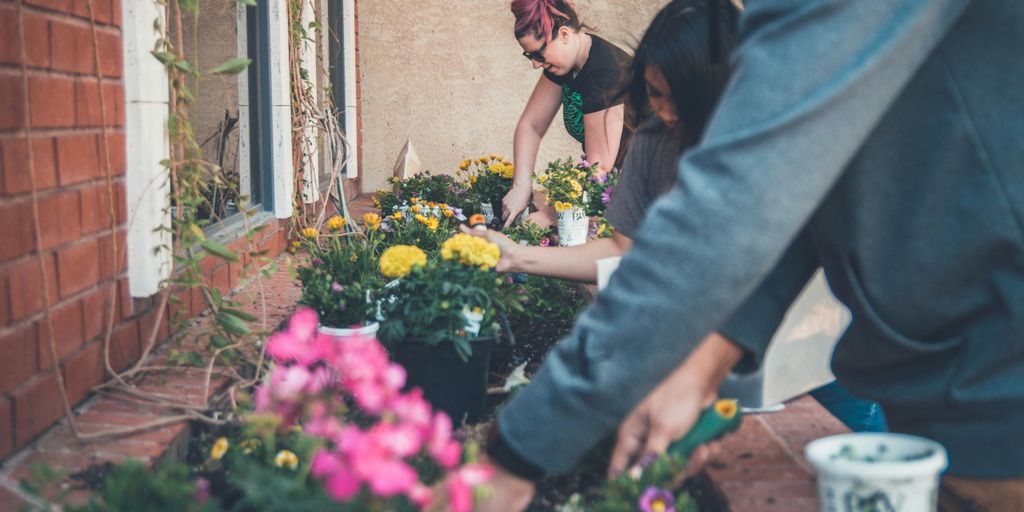 three people planting flowers