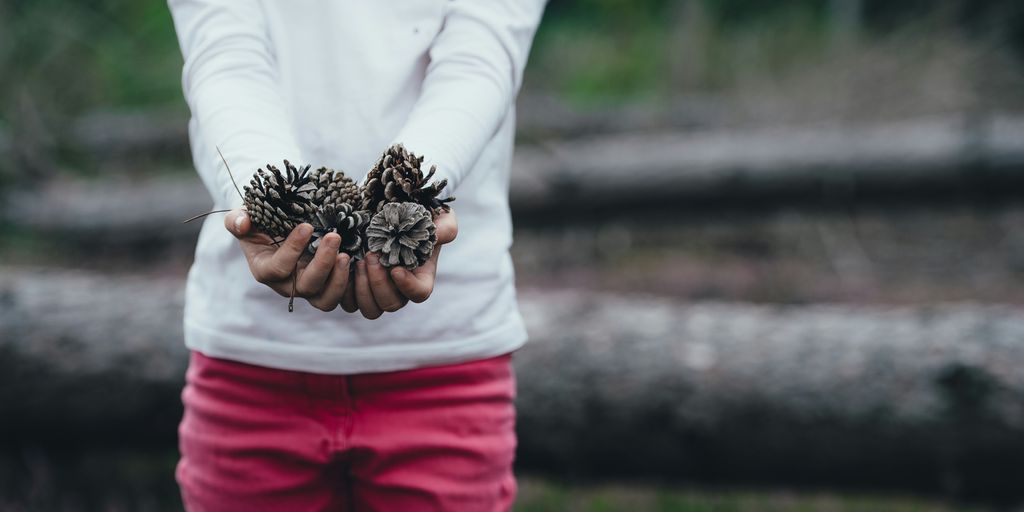 woman holding brown pinecones